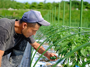 okifarm_image02