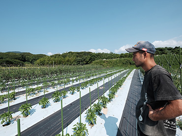 okifarm_image03