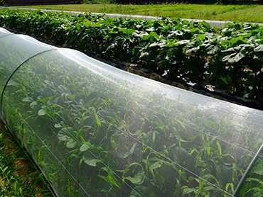 okifarm_image04