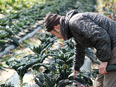 okifarm_image05